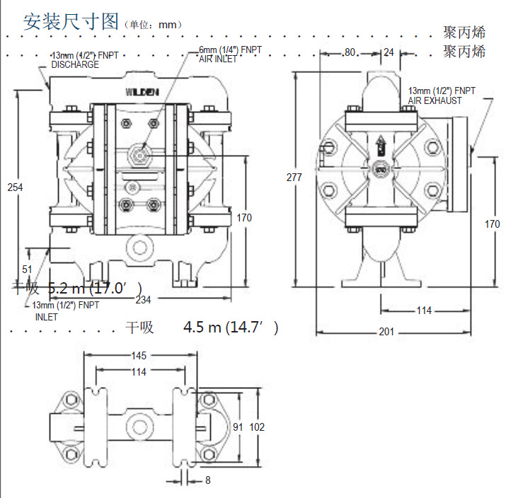 P100(5).png
